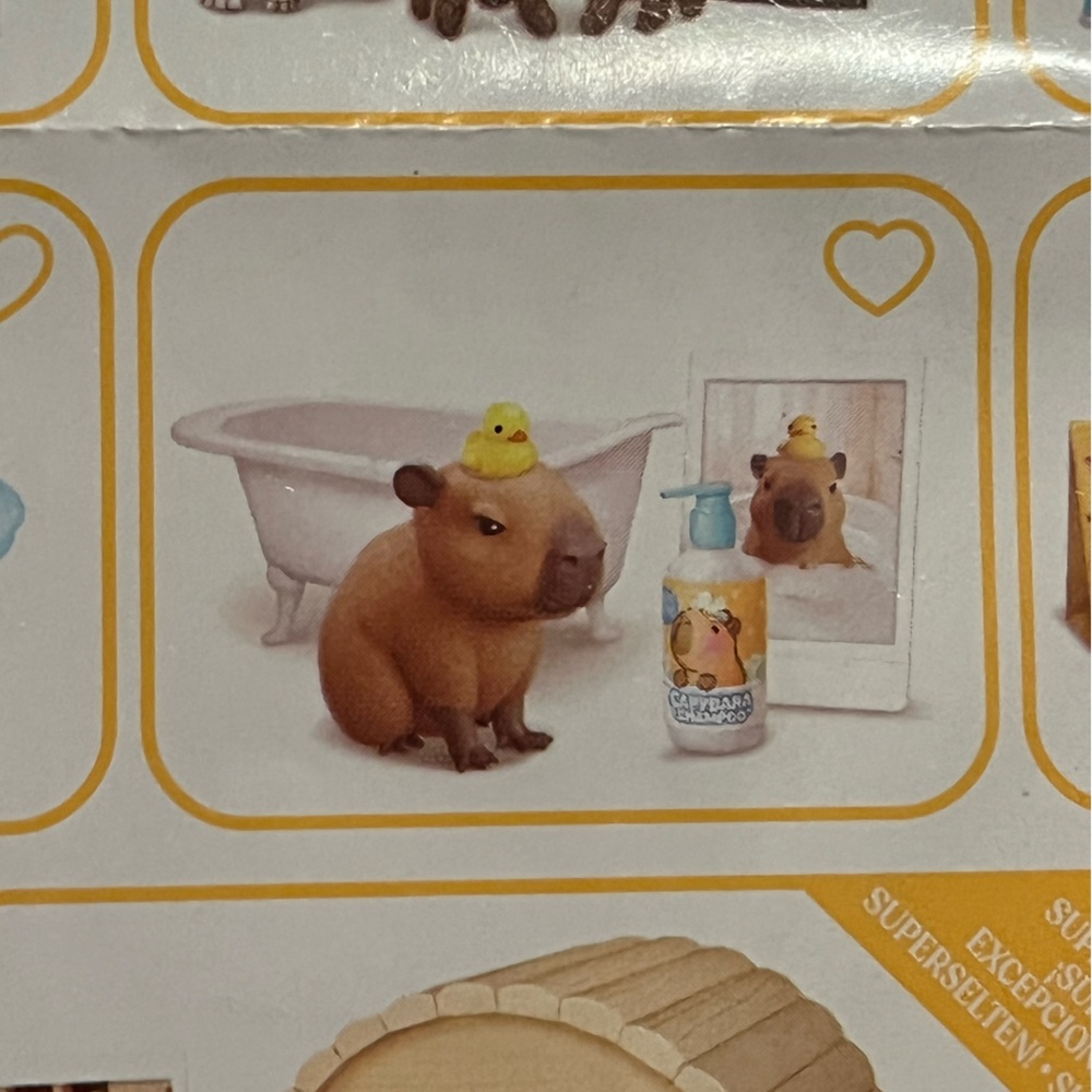 My mini pets capybara